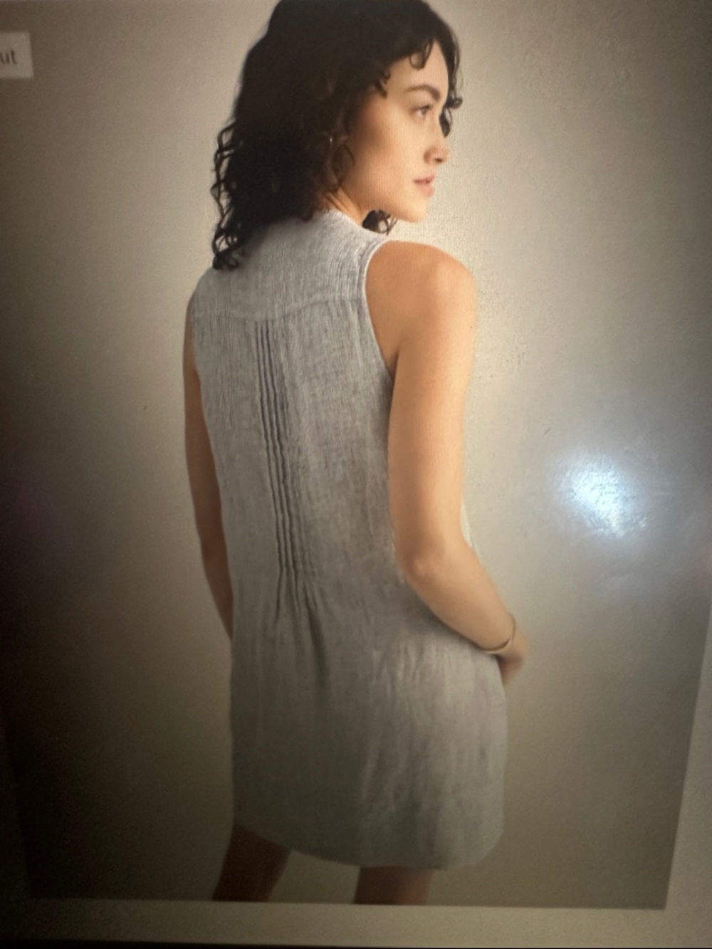 Quince 100% Linen Sleeveless Swing Dress in Blue Pinstripe, size Large - Picture 5 of 9